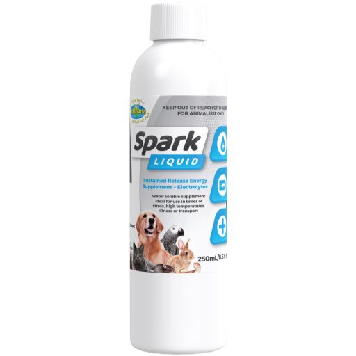 Spark Rehydration Liquid