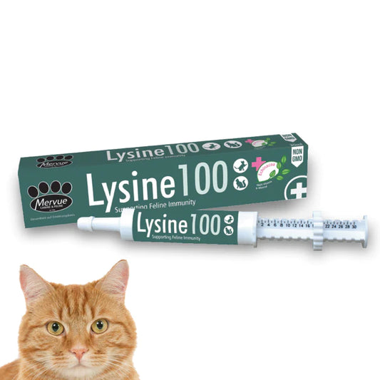 Lysine 100 paste